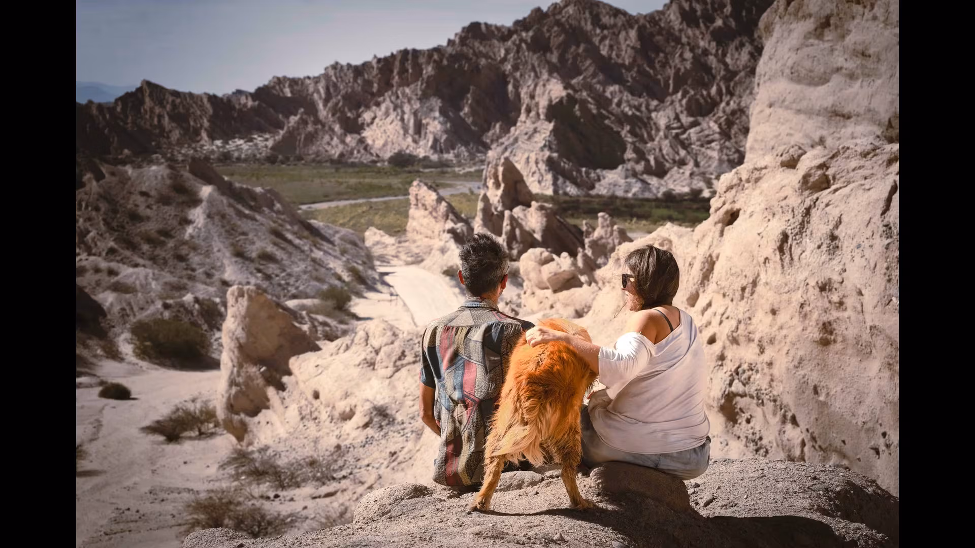 The Unique Wildlife of Argentina’s National Parks