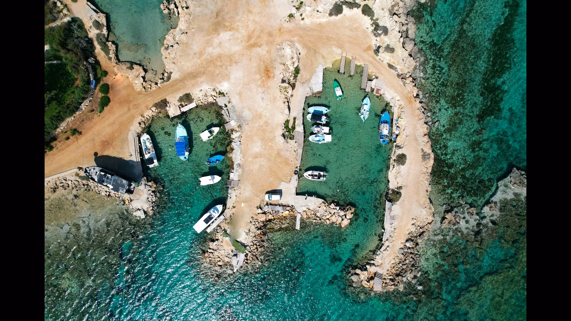 The Unique Flora of the Troodos Mountains: A Botanical Wonderland