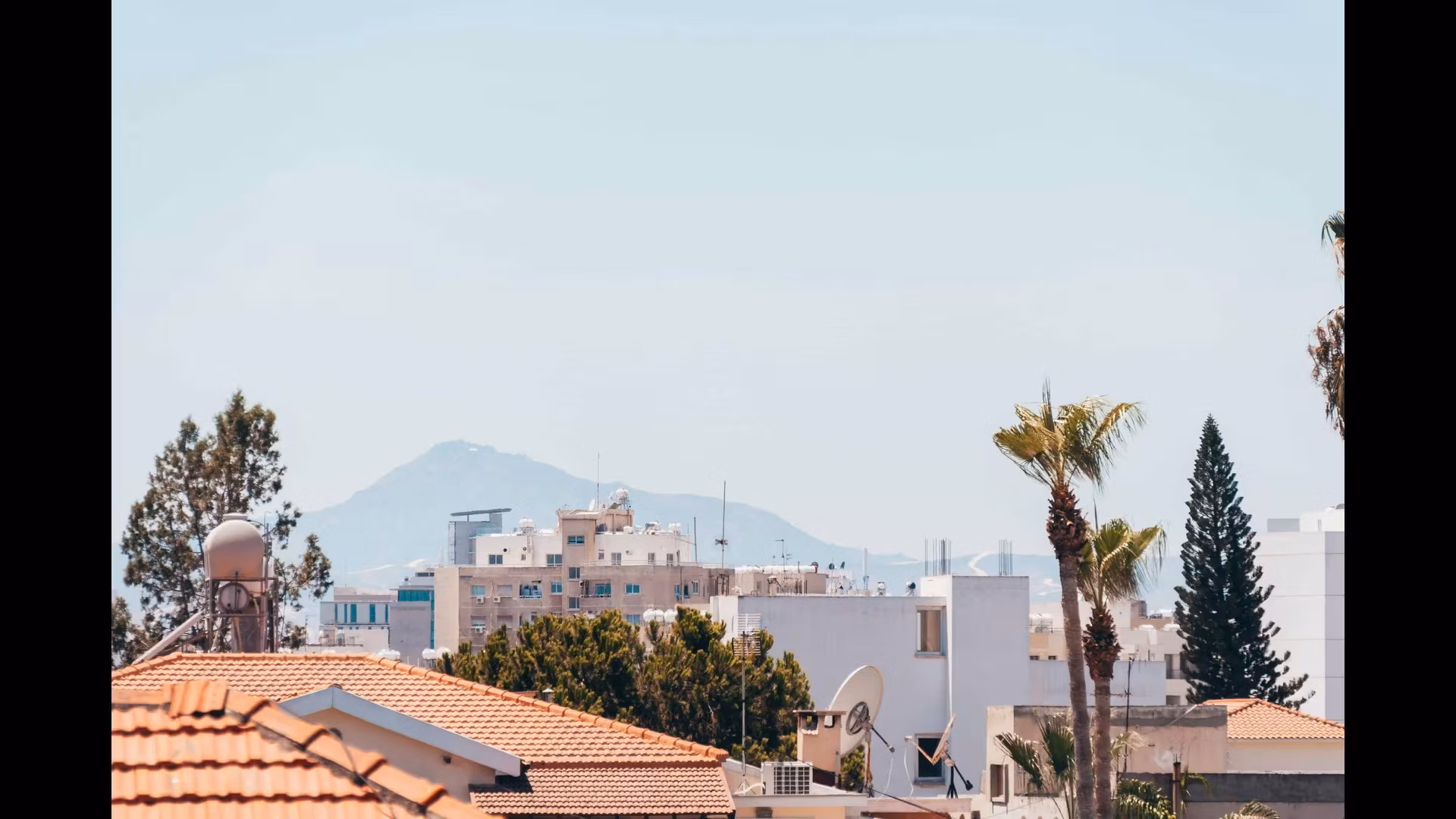 The Best Places for Birdwatching in Cyprus