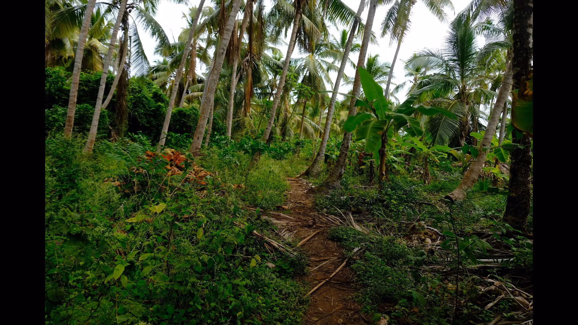 A Guide to Dominican Traditional Dress and Textiles