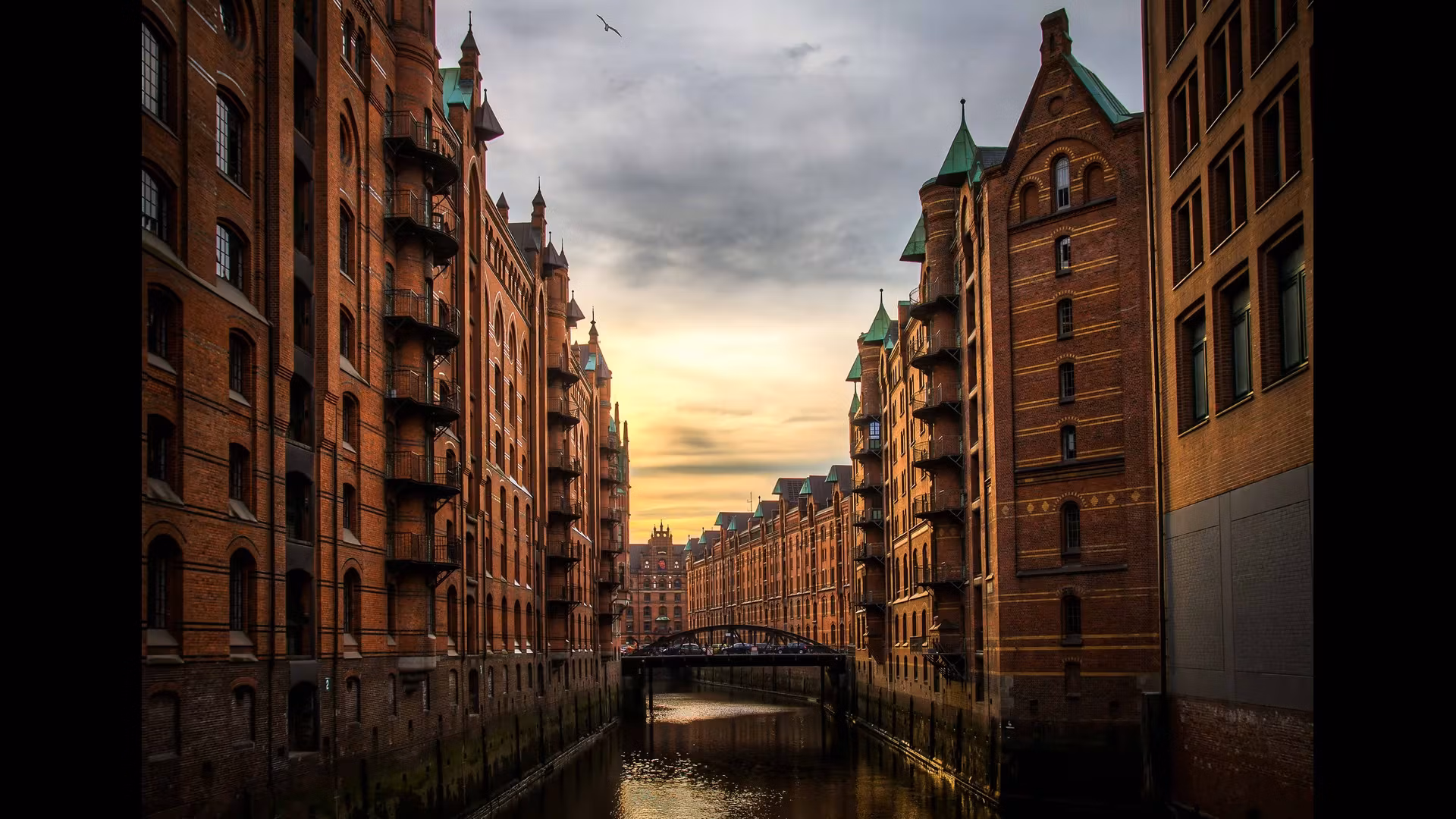 Exploring Germany’s National Parks: A Nature Lover’s Paradise