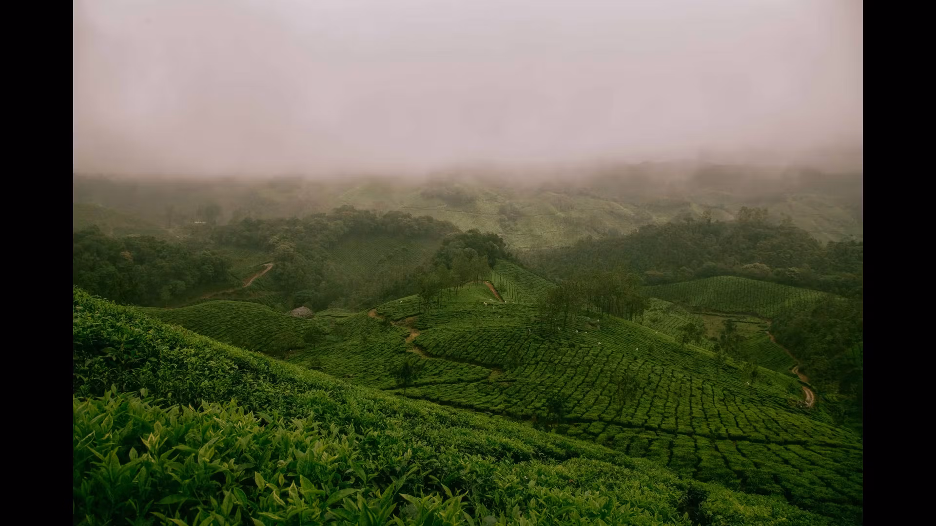 The Most Picturesque Coastal Towns to Visit in India