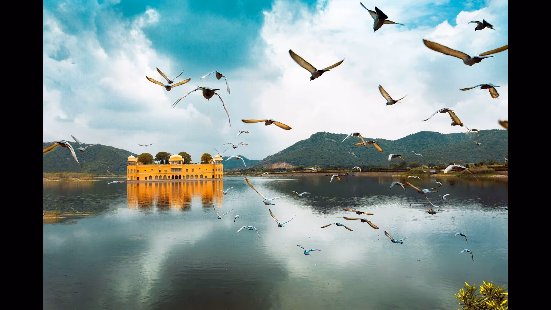 The Most Colorful Festivals to Experience in India