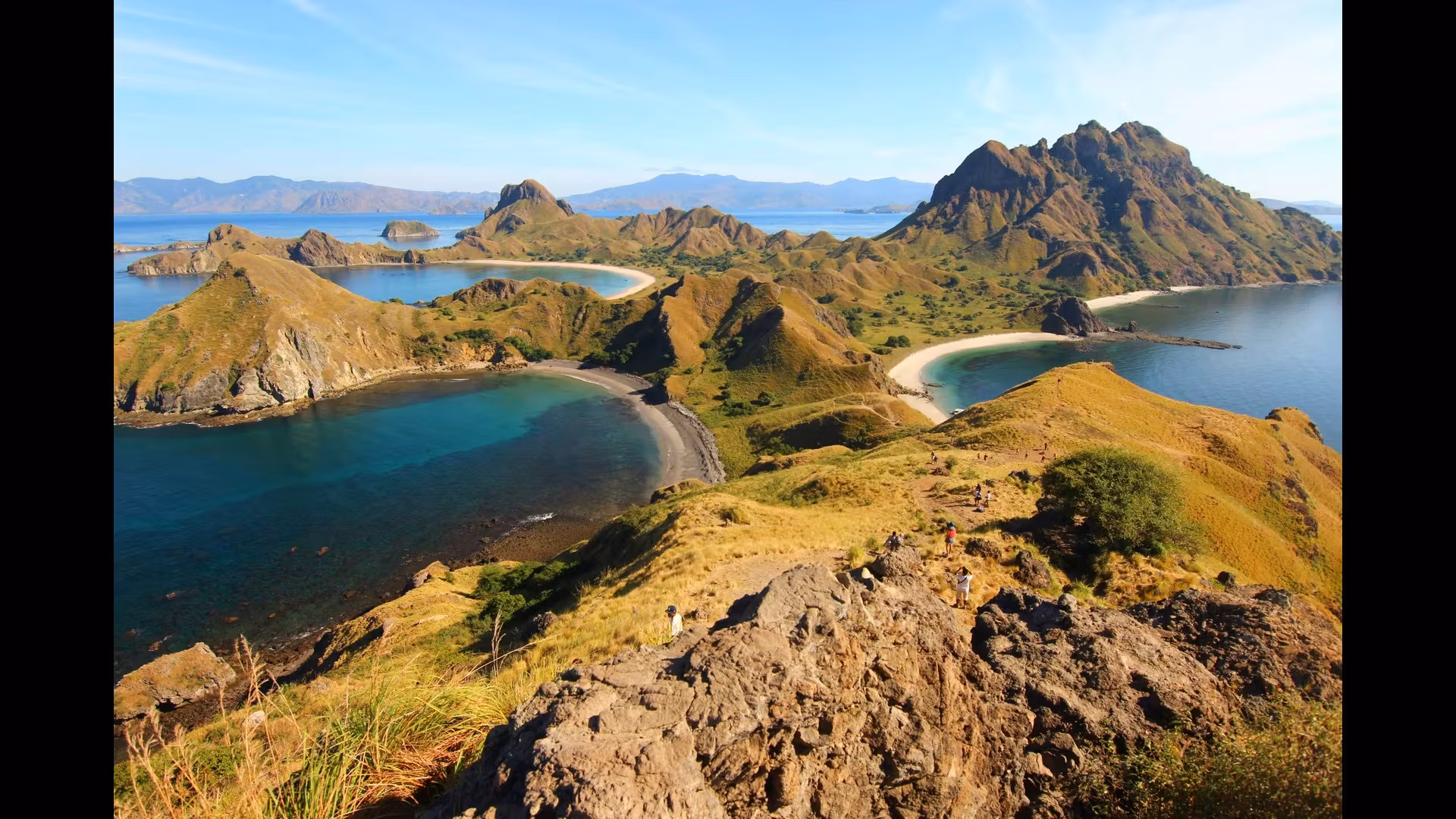 Exploring the Art of Indonesian Cuisine: Cooking Classes and More