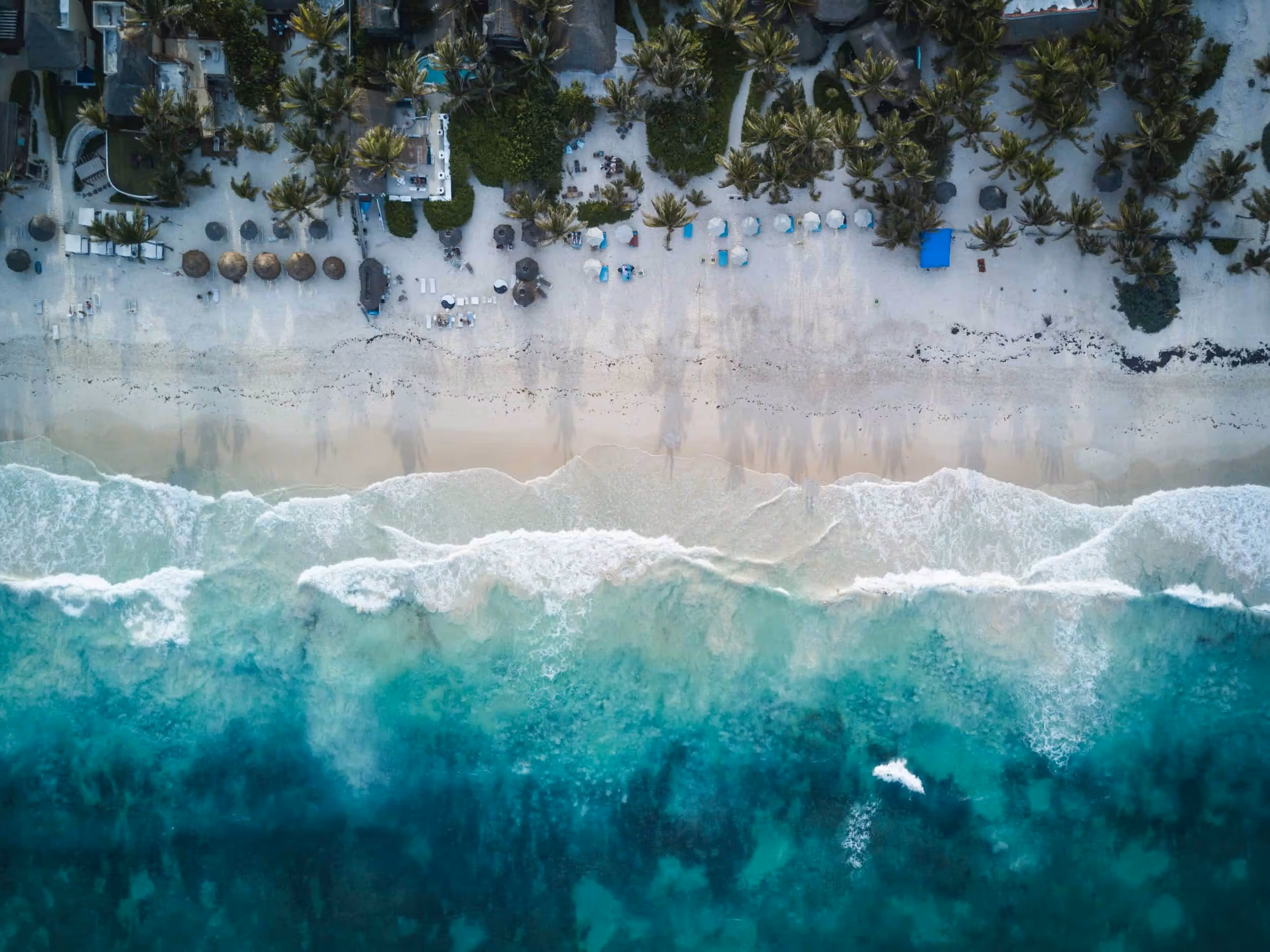 Discovering the Best Tacos in Mexico City: A Culinary Journey