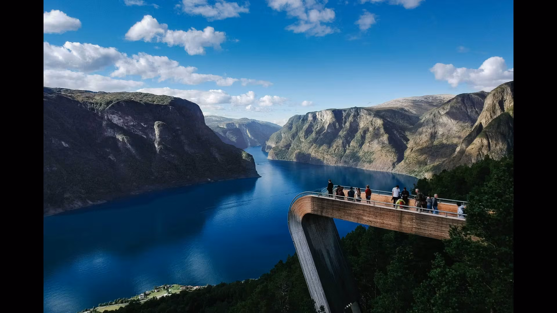 Exploring the Wildlife of Norway: From Whales to Bears